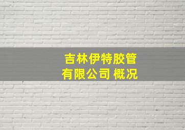 吉林伊特胶管有限公司 概况